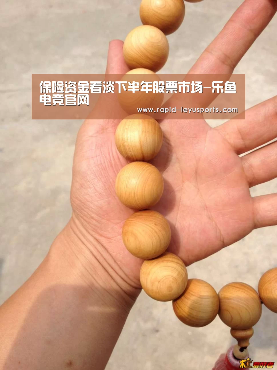 保险资金看淡下半年股票市场-乐鱼电竞官网