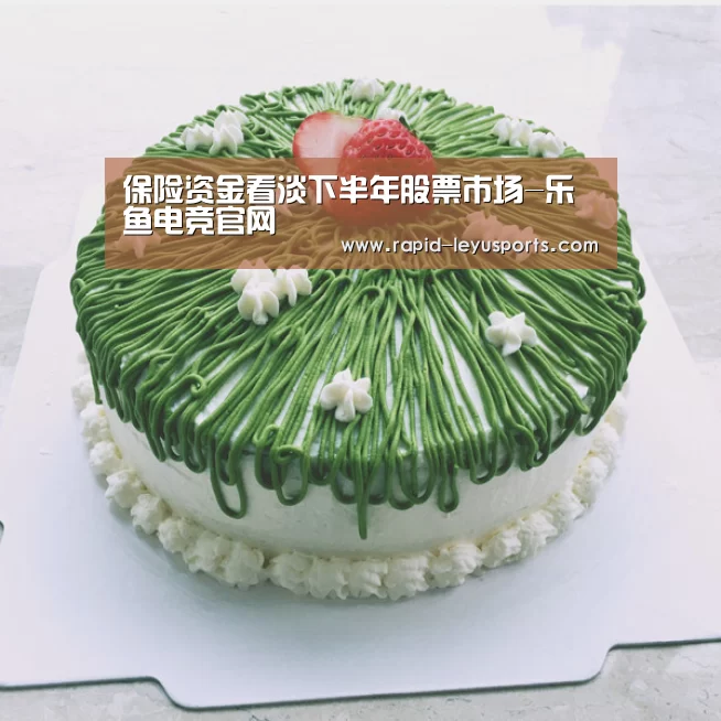 保险资金看淡下半年股票市场-乐鱼电竞官网(图4) 保险资金看淡下半年股票市场-乐鱼电竞官网(图4)