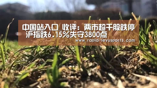 中国站入口_收评：两市超千股跌停 沪指跌6.15%失守3800点