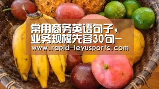 常用商务英语句子，业务规模先容30句-乐鱼电竞官网(图3)