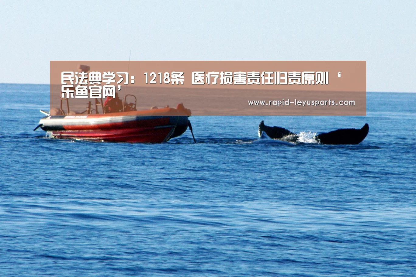 乐鱼官网